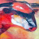 Bulle in gelb 60x80cm